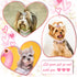 DaFuEn Dog Hair Clips Hair Bows for Small Dogs Puppy Crown Barrettes Girl Dog Tiara Crystal Rhinestone Dog Hair Accessories for Chihuahua Yorkie S...