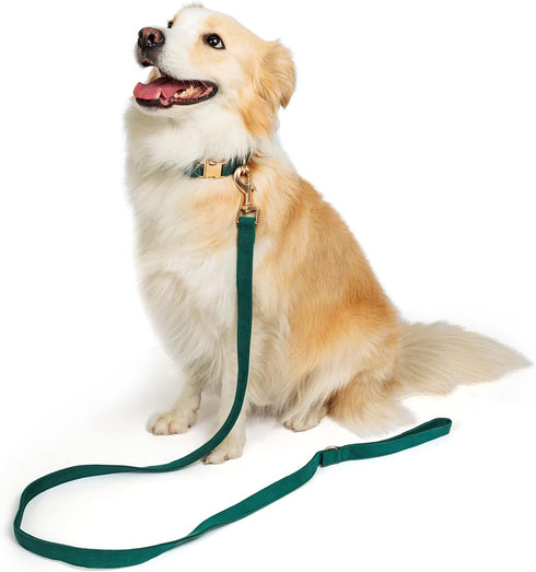 Soft Corduroy Dog Collar and Leash Set, Adjustable Cotton Dog Collars with Metal Buckle and Lead for Small Dogs,Dark Green...