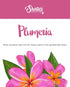 Shortie's Candle Company Pure Plumeria Wax Melts Multi Pack - 2 Highly Scented 3 Oz. Bars (6 Oz. Total) - Made with Natural Oils - Flower & Floral...