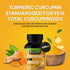 Turmeric Curcumin Supplement with BioPerine & Ginger, Turmeric Curcumin with Black Pepper 1950mg for Max Absorption Joint Support- Non-GMO Turmeri...