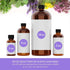 Oil of Youth Cinnamon Bark Essential Oil - Therapeutic Grade for Aromatherapy, Diffuser, Relaxation, Massage - Dropper - 4 fl oz - Cinnamon Bark E...