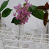 3 Packs Plastic Test Tube Rack, 21 Holes Lab Test Tube Rack Holder for 30mm Test Tubes, White, Detachable (21 Holes)...