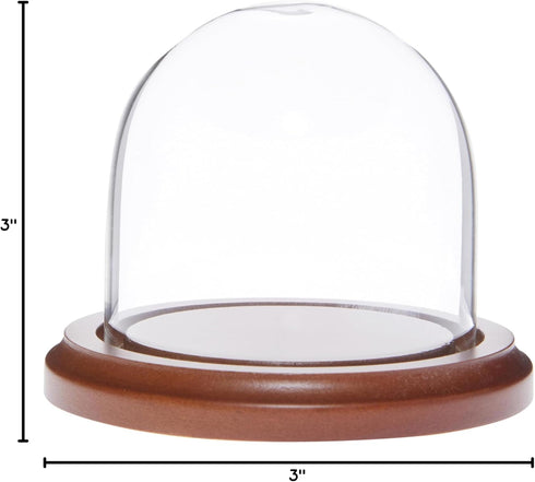 Plymor 3" x 3" Glass Display Dome Cloche (Walnut Base)...