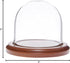 Plymor 3" x 3" Glass Display Dome Cloche (Walnut Base)...