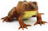 Gemini&Genius Tree Frog Realistic Hand Painted Toy for Backyear Decor, Carnival Game. Bullfrog Figurine Plastic Frogs Rubber Animal Toys for Educa...