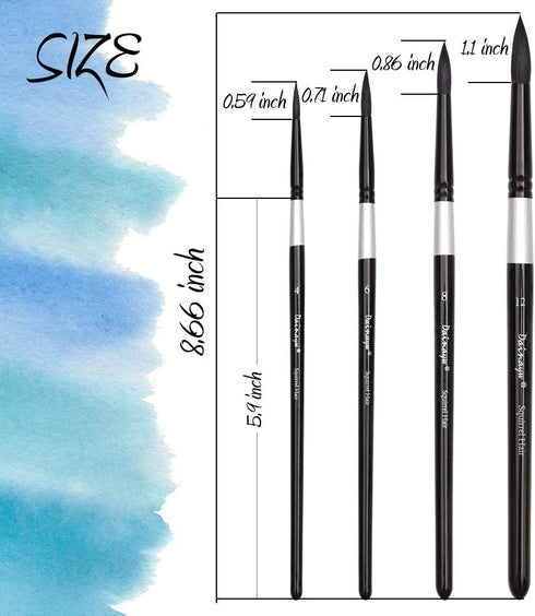 Dainayw Round Watercolor Paint Brushes 4Pcs Squirrel Hair Professional Brush for Artist Painting Watercolors, Acrylics, Inks,Gouache and Tempera, ...