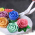 4 Pack Cake Flower Decorating Set Flower Nail and Flower Lifters Stainless Steel Flower Nails Kitchen Baking Cake Cream Icing Decoration Tools for...