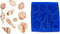 Shell Set 9 Mold S191 by First Impressions Silicone Molds...