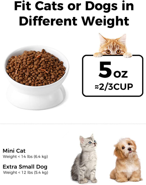 Elevated Cat Food Bowl, 5 Oz Ceramic Raised and Tilted Water Bowl, Anti Vomiting and Protect Pets' Spines Dishes for Small Dog, Fat Faced Cat, Kit...
