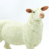 Safari Ltd. Ewe Figurine - Lifelike 3" Model Figure - Educational Toy for Boys, Girls, and Kids Ages 3+...