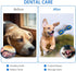 AUSCAT Dog Squeaky Toys for Aggressive Chewers, Almost Indestructible Squeaky Toys for Dogs, Teething Chew Toys for Large Medium Breed, Durable Ru...