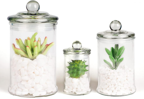 Mini Glass Apothecary Jars, Bathroom Storage Organizer Canisters for Cotton Swabs, Cotton Balls, Makeup Sponges, Bath Salts, Hair Ties, Makeup - S...
