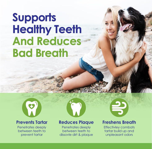 Dog Teeth Cleaning Powder, Dog Plaque and Tartar Remover, Bad Breath Treatment for Dogs with USDA Organic Sea Kelp Powder, Dog Dental Care Made Ea...