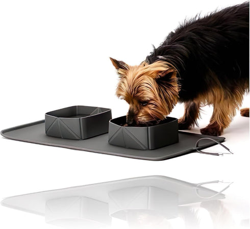 Generic Portable Pet Feeder, Silicone Bowls for Dog and Cat Travel, Collapsible Dish for Food and Water, 2-in-1 Solution with Adjustable Bow Ties...