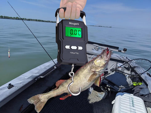 165lb 75kg Digital Fishing Postal Hanging Hook Scale with Measuring Tape, 2 AAA Batteries (Not Included)(Black)...
