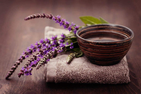 Seeds Sage (Salvia Officinalis) Non GMO Heirloom...