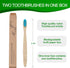 10 Pcs Soft Bristles Bamboo Toothbrush for Adults, Biodegradable Natural Bamboo Charcoal Toothbrushes, Eco Friendly Color Bristle Wood Tooth Brush...