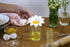 Peleg Design Daisy Plastic Egg Separator, Egg White Yolk Divider Kitchen Gadgets Baking Tools Egg Extractor, Cute Flower Design...
