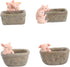 Yardwe 1pc Ceramic Planter Plant Pots Ceramic Cactus Planter Resin Planter Unique Pot Resin Pot Decorative Airplant Pot Cactus Pot Mini Container ...
