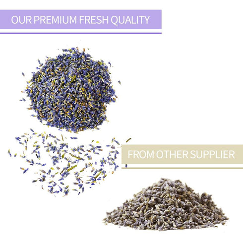 TIAN HU SHAN Dried Lavender Flower Buds, Culinary Food Grade for Baking, Fresh Fragrance, 4 Ounce, Caffeine Free Suger Free Vegan Herbal Tea, Pack...