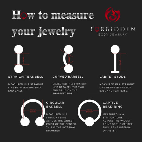 Forbidden Body Jewelry Set of 2 Rings: 16g 10mm Black IP Plated Surgical Steel Spiked Horseshoe Hoop Rings...