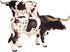 Flormoon Animal Figures Realistic Texas Longhorn Bull Plastic Early Educational Toys Cupcake Topper Party Gift for Kids 3+ Year Old(Male)...