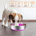 2-in-1 Metal Dog Bowl with Slow Feeder Insert, Stainless Steel Dog Bowls Food Grade 304, Water Food Bowl with Anti-Slip Silicone Base for Small & ...