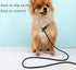 2 Pcs 8ft Slip Lead Dog Leash, Reflective No Pull Training Leash, 1/3" Nylon Rope Slip Leash for Small Medium Dogs (Blue+Black)...