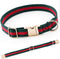 Premium Dog Collar, Cute Dog Collars Luxury Style, Durable Pet Collars with Metal Buckle Safety for Medium Dogs...