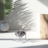 4 Pcs Rock Display Stand Crystal Display with Metal Arms and Acrylic Pedestal Base Decorative Easel Stand Mineral Crystal Display Stand for Gemsto...