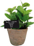 Esschert Design Artificial Herb Plant, Mint, Large,AH004...