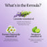 Sleep Essential Oil Blend for Diffuser - Snooze Blend Essential Oil for Sleep with Lavender Roman Chamomile Cedarwood and More - Sleep Aromatherap...