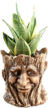 Funny Planter Head Face Plant Pot with Drainage Hole Resin Succulent Plant Holder Pencil Holder Desk Organizer Office Garden Gift (Smile Face)...