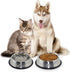 Stainless Steel Cat Bowl, 2 Pack Metal Dog Bowls for Food and Water, Non-Slip Pet Feeding Dish Bowl with Rubber Base for Indoor Cats Small Dogs...