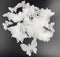 50Pcs Edible Wafer Cupcake Toppers Cake DIY White Blank Butterfly Cake Decoration Birthday Mix Size & White Colour...