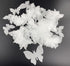 50Pcs Edible Wafer Cupcake Toppers Cake DIY White Blank Butterfly Cake Decoration Birthday Mix Size & White Colour...