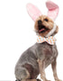 Easter Dog Collar with Bow,Girl Dog Collars for Female Dog,Soft Bowtie Dog Collars for Puppy, Cute Dog Collar Adjustable for Boy Dog,Dog Holiday C...