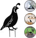 COHEALI 4Pcs Iron Cast Animal Stake Statue Rustic Quail Silhouette Quail Family Yard Black Metal Quail Art Garden Birds Silhouette Statue Lawn Bac...
