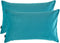 Artcest Set of 2, Cozy Solid Velvet Throw Pillow Case, Decorative Couch Cushion Cover, Soft Sofa Euro Sham with Zipper Hidden, 12"x20" (Light Teal...