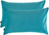 Artcest Set of 2, Cozy Solid Velvet Throw Pillow Case, Decorative Couch Cushion Cover, Soft Sofa Euro Sham with Zipper Hidden, 12"x20" (Light Teal...