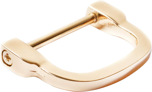 4pcs 2.5cm Wide Horseshoe D-Rings,Screw in Shackle D Ring for Purses,Belt Clasps,Purse Findings BBC14 (Light Gold)...