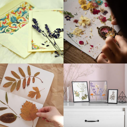 ECOHOME Flower Press Kit Replacement Cardboard Sheets - Ideal for Paper Crafting with Dried Flowers, Extends Lifeline, & Versatile Use in Botanica...