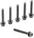 ReplacementScrews 1 Set of Metric Screws (Model RS-198299) Pan Head - Philips Drive - Black Plated (Pack of 6)...