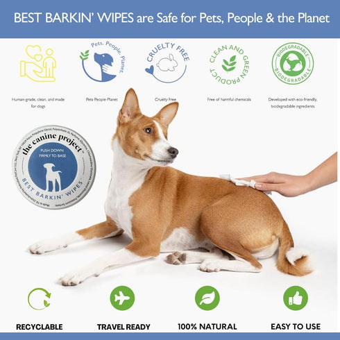 Best BARKIN' Wipes with Free Mesh Bag, Dog Wipes for Paws Ears and Butt, Micellar Aloe Scented Travel Friendly Puppy Wipes (12-Pack)...