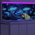 48X20IN Blacklight Cyan Mushroom Black Light Aquarium Background UV Reactive Background Starry Sky Moonlight Terrarium Background with 10 EVA Doub...
