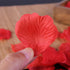 Rose Tealight Candles,12 Pieces Handmade Delicate Flower Candles with 100PCS Silk Rose Petals,Mini Candle Discs for Weddings,Anniversaries, Birthd...