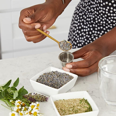 Back to the Roots 41030 Organic Starter Kit-Aromatic Tea Garden...