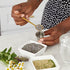 Back to the Roots 41030 Organic Starter Kit-Aromatic Tea Garden...