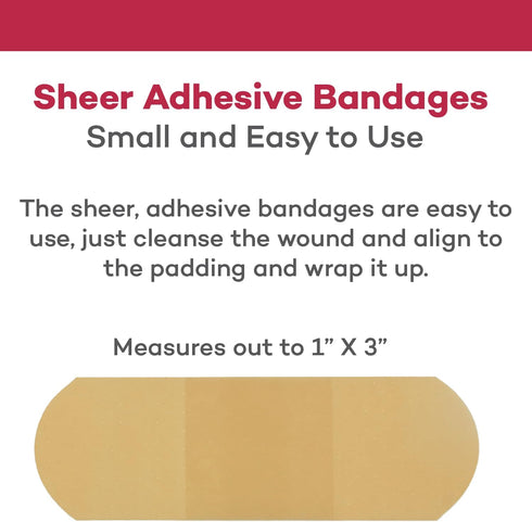 Dealmed Sheer Plastic Flexible Adhesive Bandages – 100 Count (2 Pack) Bandages with Non-Stick Pad, Latex Free, Wound Care for First Aid Kit, 1" x ...