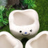 Ceramic Planter Ceramic Planter 2pcs Ceramic Tooth Planter Mini Porcelain Succulents Flower Pot Cute Pen Pencil Holder for Office Home Desk Decor ...